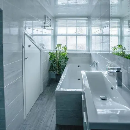 Wv Flat Center 公寓 鲍内斯温德米尔